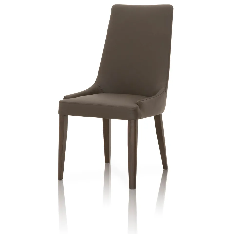 Aurora Dining Chair, Set of 2