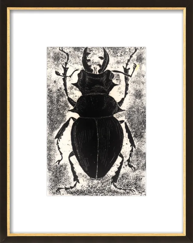 Black Beetle on White by Tennopent Sooster for Artfully Walls