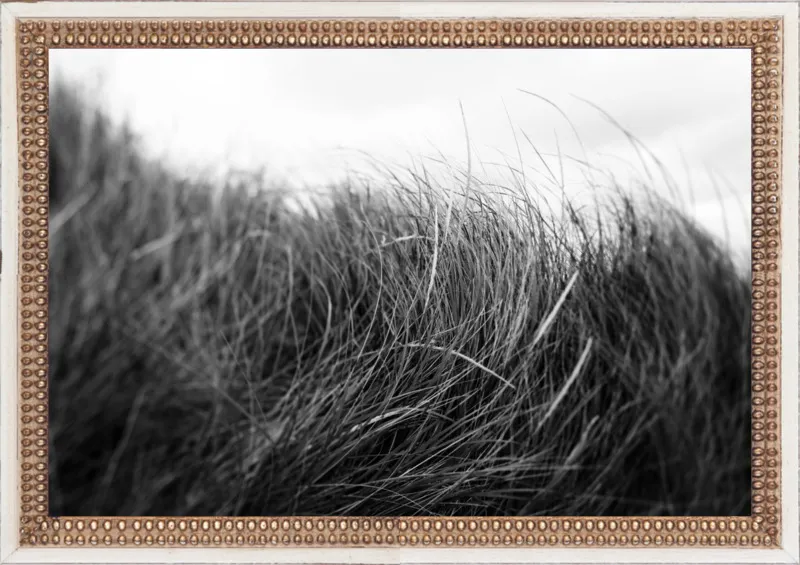 Beach Grass #3 by Alicia Bock for Artfully Walls
