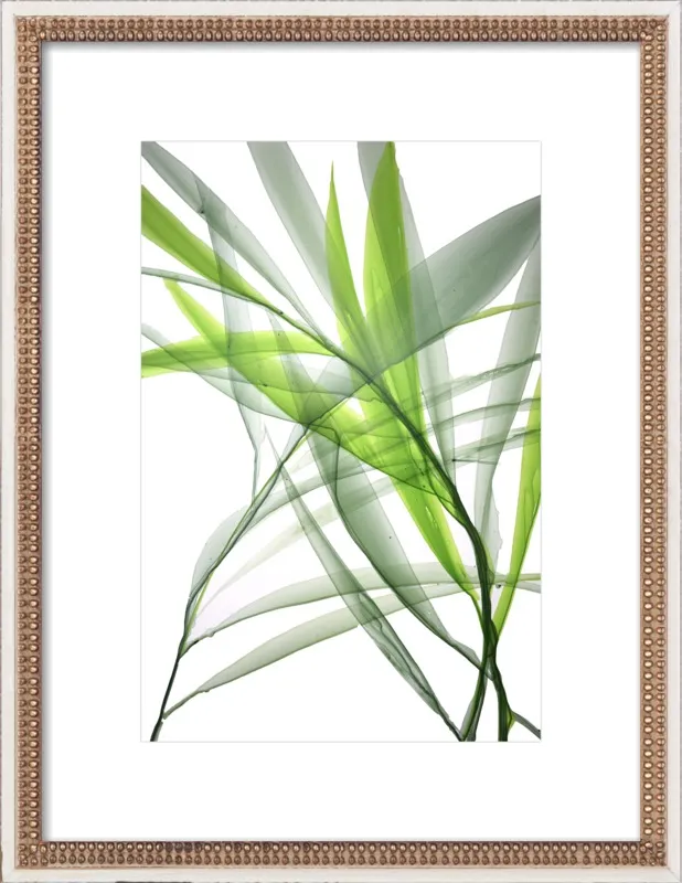 Tropical Study no. 3 by Marina Dunbar  for Artfully Walls
