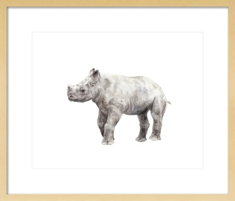 Baby Rhino Watercolor by Lauren Rogoff for Artfully Walls