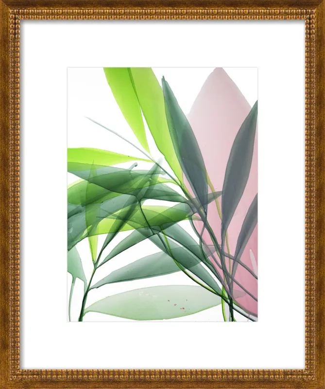 Tropical Study no. 15 by Marina Dunbar  for Artfully Walls