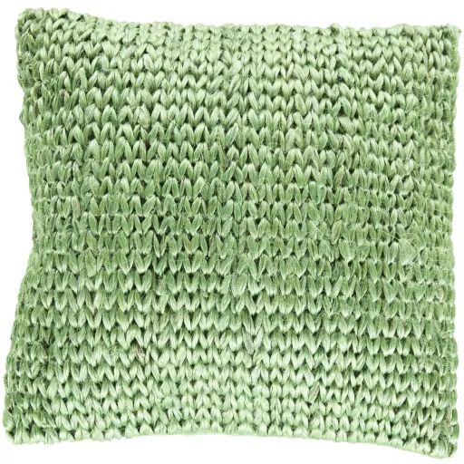 Tropics SC-001 22"L x 22"W Pillow Cover