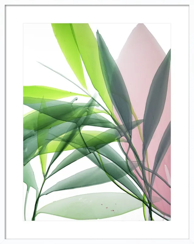 Tropical Study no. 15 by Marina Dunbar  for Artfully Walls