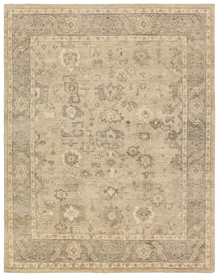 Rhan NDR02 Handknotted Oriental Tan Area Rug (6'x9')