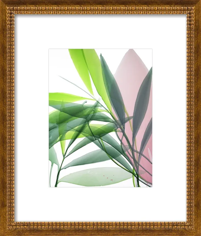 Tropical Study no. 15 by Marina Dunbar  for Artfully Walls