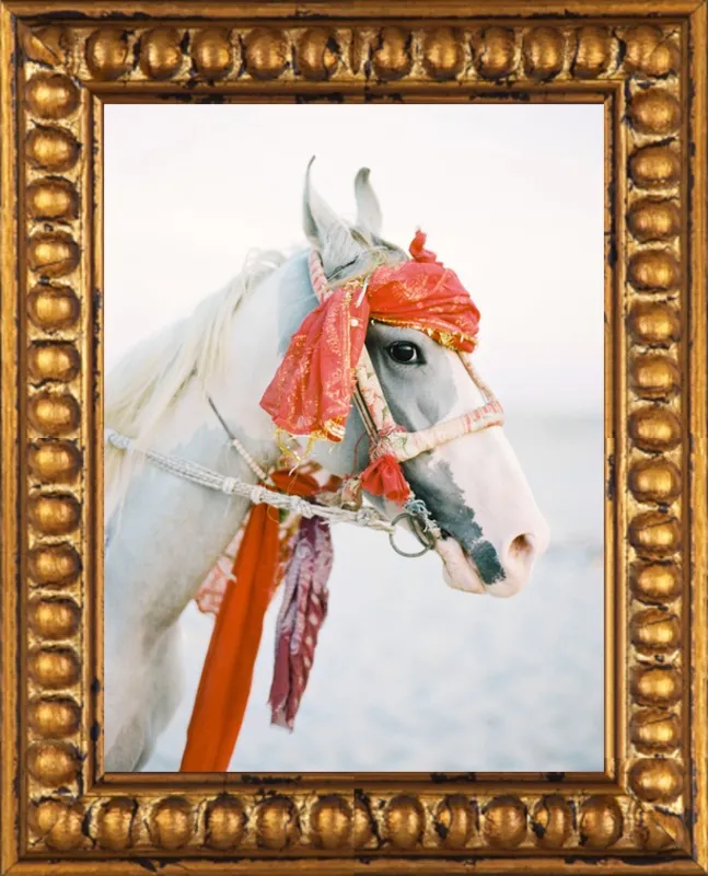 Marwari by Andrew Jacona for Artfully Walls