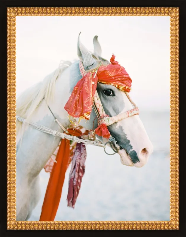 Marwari by Andrew Jacona for Artfully Walls