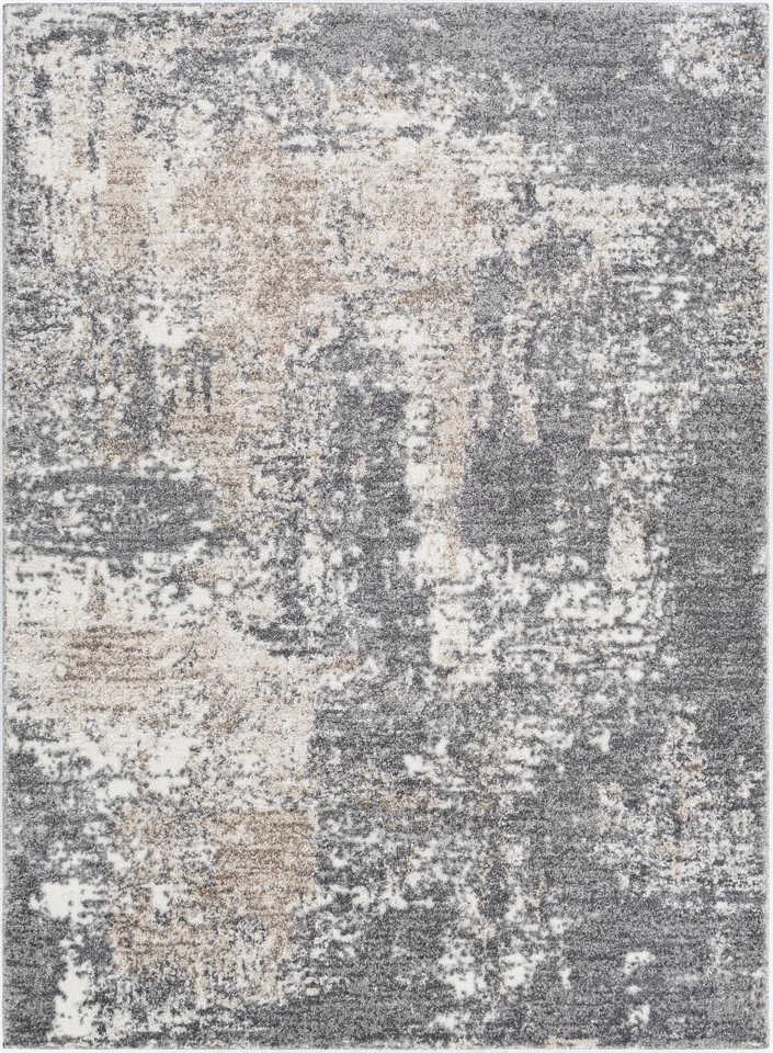 Andorra Gray Indoor 2' x 2'11" Machine Woven Rug