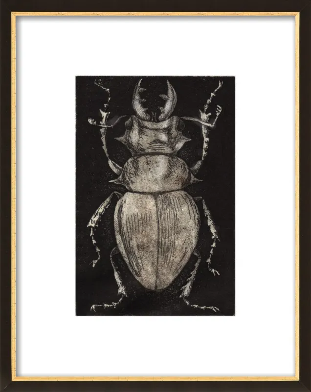 Grey Beetle on Black by Tennopent Sooster for Artfully Walls