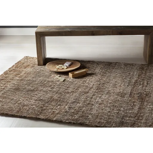 Bjorn Brown Indoor 2' x 3' Handmade Rug