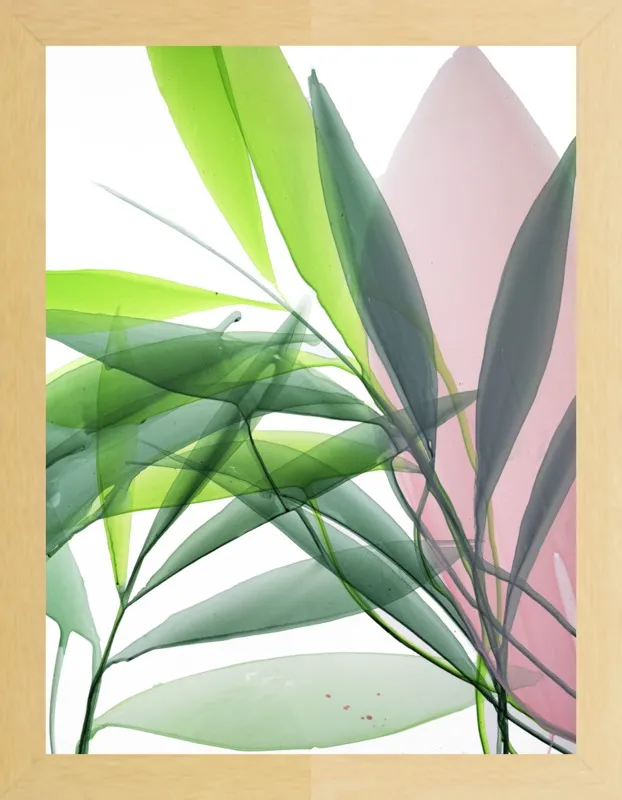 Tropical Study no. 15 by Marina Dunbar  for Artfully Walls