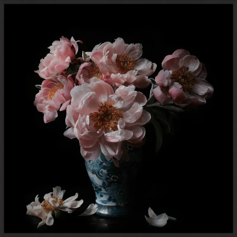 Pink Peonies  by Lucy Snowe for Artfully Walls