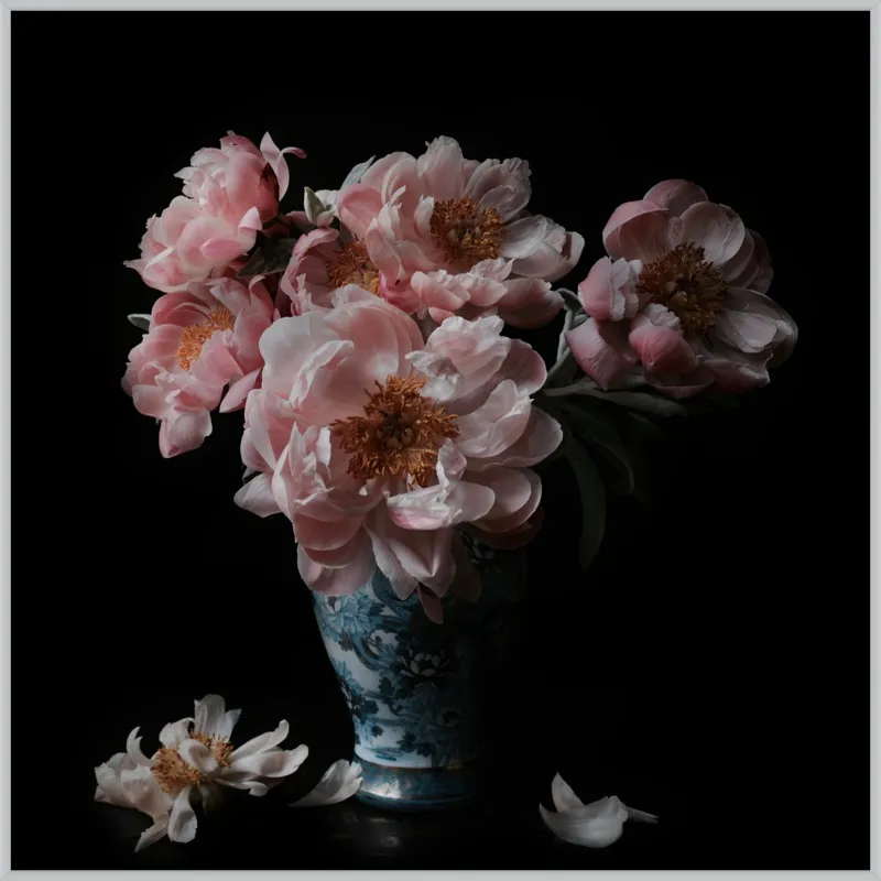 Pink Peonies  by Lucy Snowe for Artfully Walls