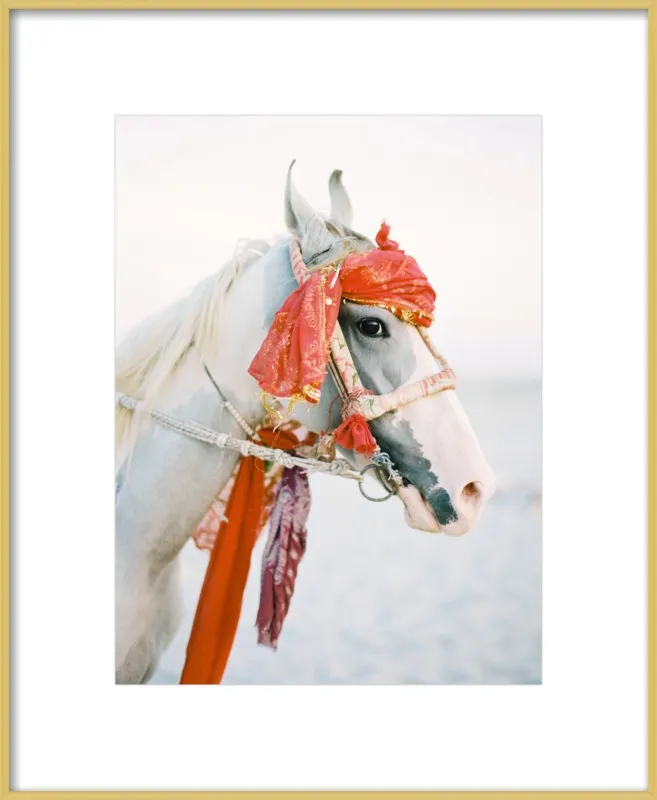 Marwari by Andrew Jacona for Artfully Walls