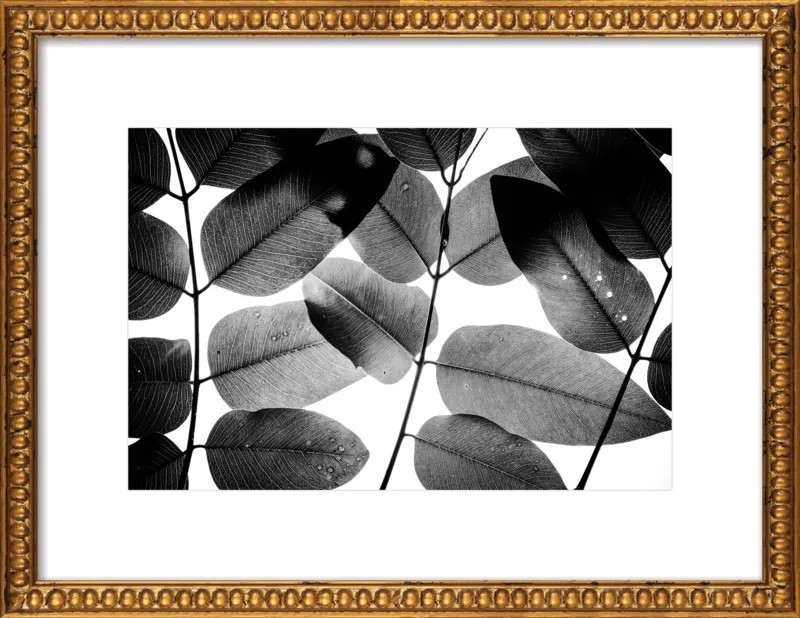 "Experiments with Leaves 2015 1" by Tal Paz-Fridman for Artfully Walls