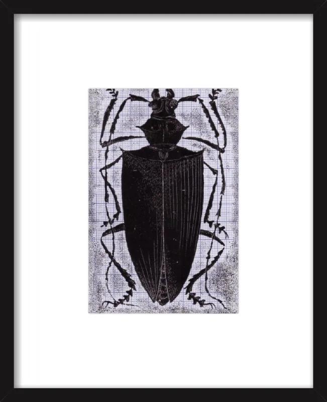 Black Beetle on Grey by Tennopent Sooster for Artfully Walls