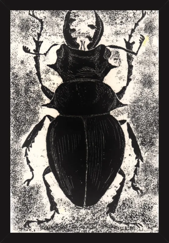 Black Beetle on White by Tennopent Sooster for Artfully Walls