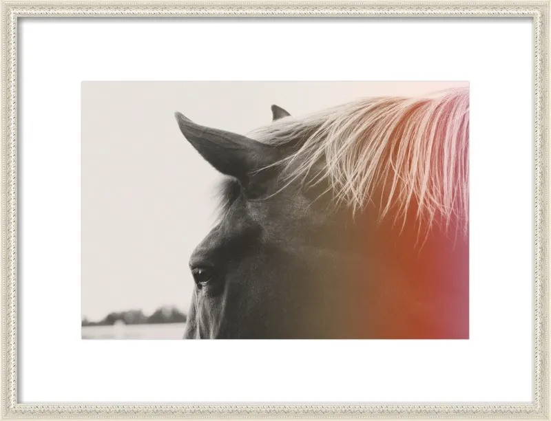 Pink Pony by Alicia Bock for Artfully Walls