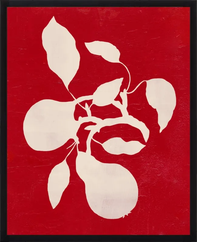 pears by Ruti Shaashua for Artfully Walls