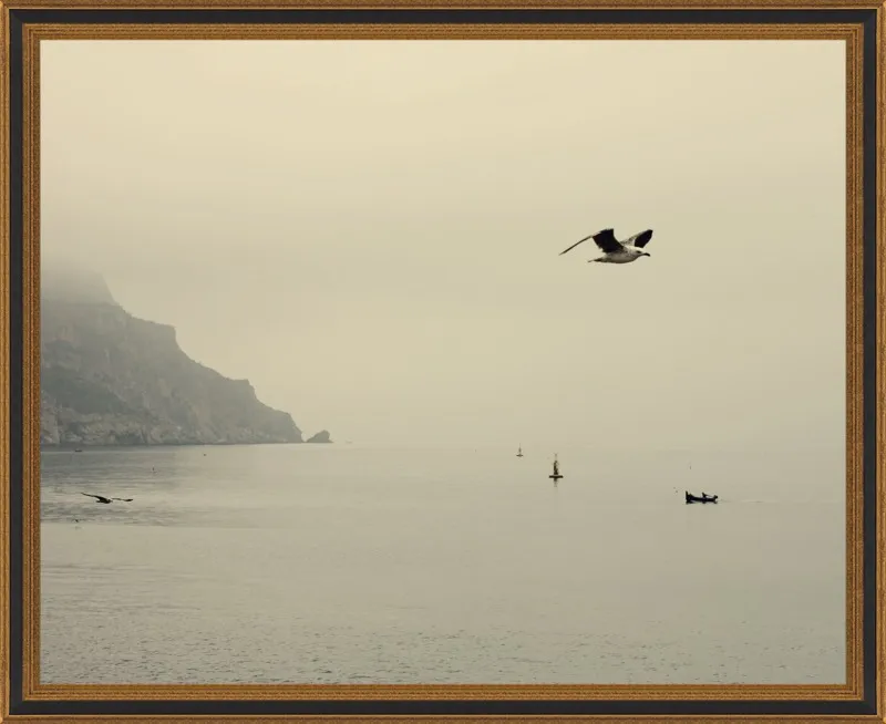 one day I will fly away by Ingrid Beddoes for Artfully Walls