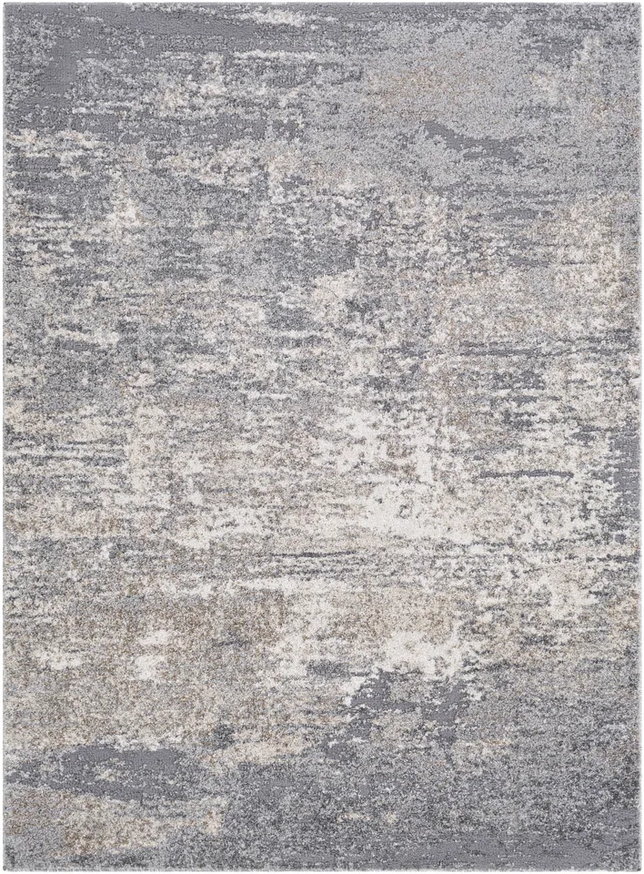 Andorra Gray Indoor 2' x 2'11" Machine Woven Rug