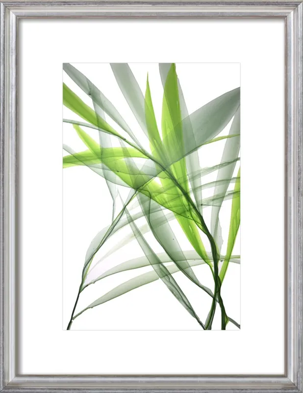 Tropical Study no. 3 by Marina Dunbar  for Artfully Walls