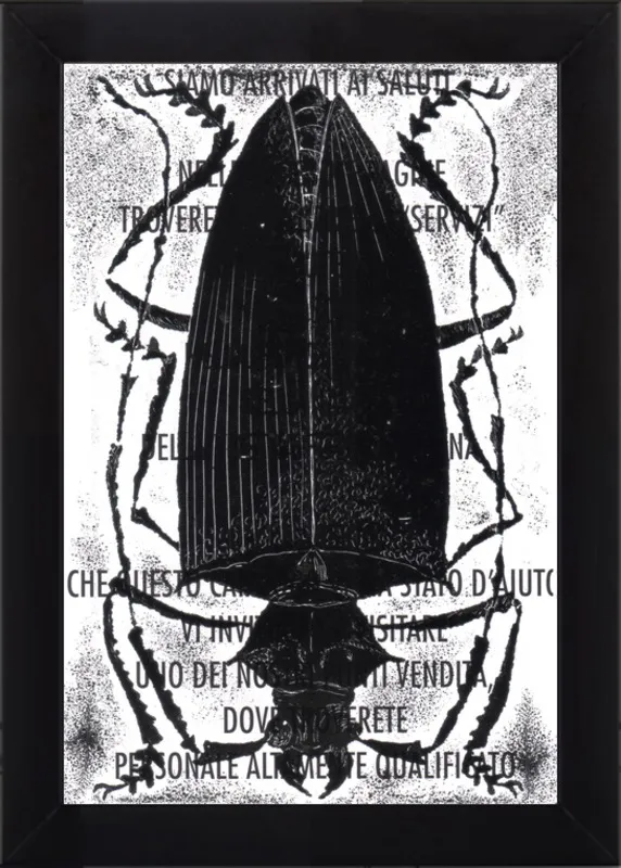 Black Beetle on Words by Tennopent Sooster for Artfully Walls