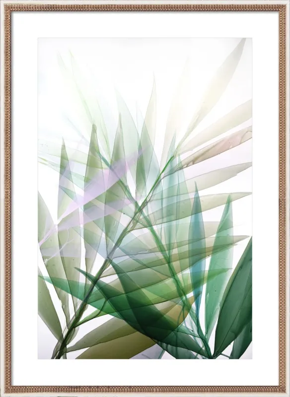 Tropical Study no. 8 by Marina Dunbar  for Artfully Walls