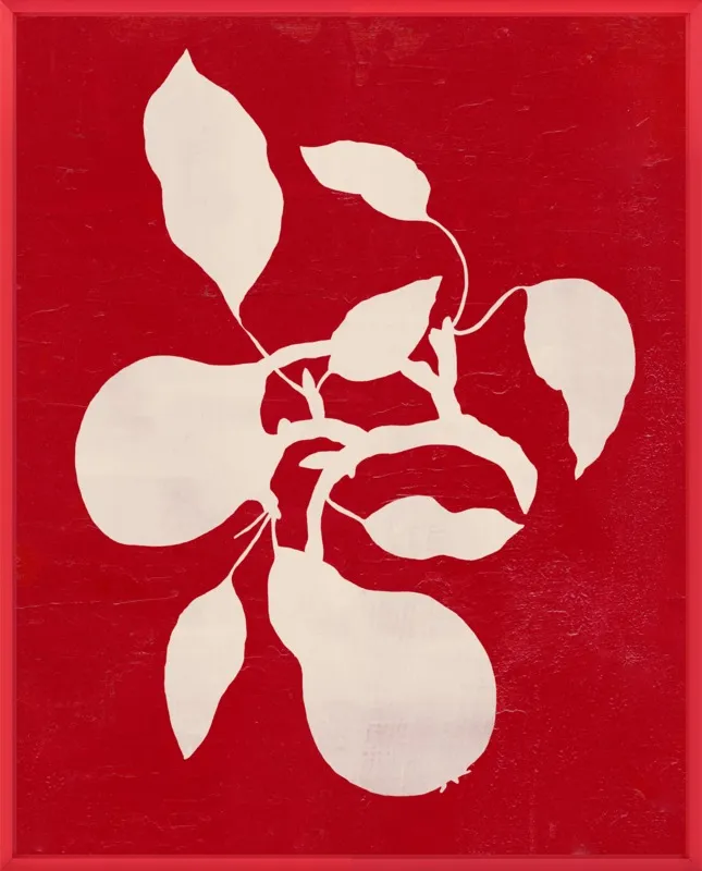 pears by Ruti Shaashua for Artfully Walls