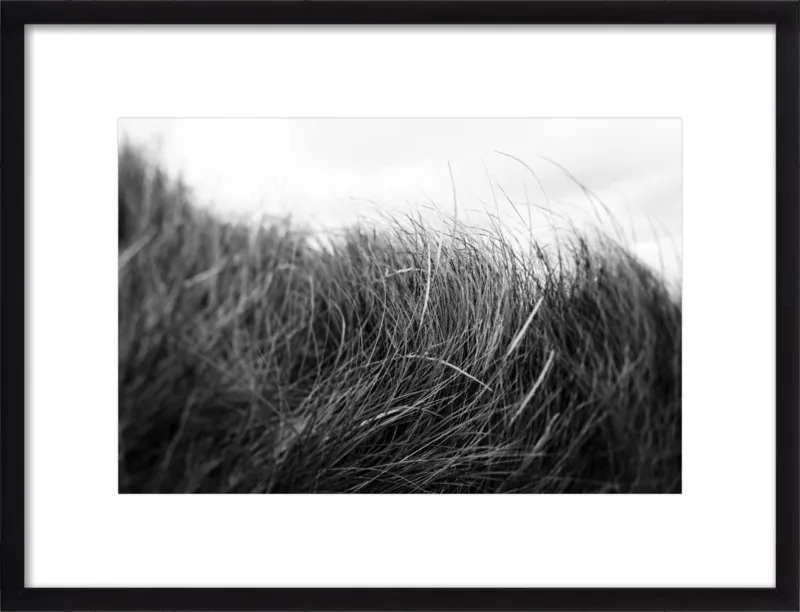 Beach Grass #3 by Alicia Bock for Artfully Walls