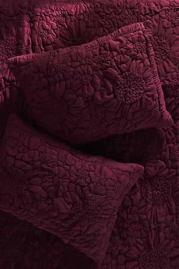 Dahlia Cotton Jersey Floral Shams, Set of 2