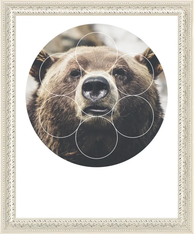 Big Bear Buddy - Geometric Photography by Emiliano Deificus for Artfully Walls