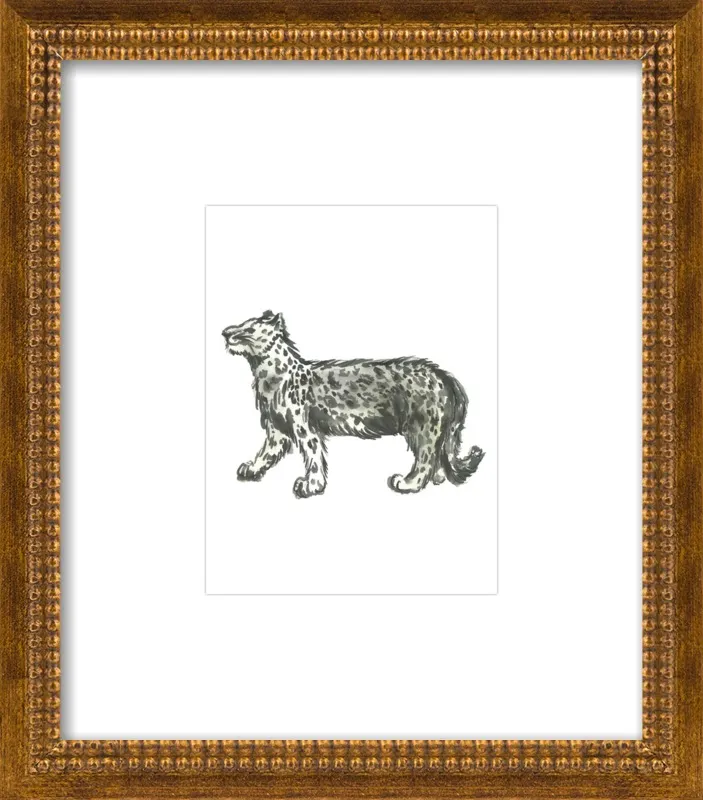 Snow Leopard by Ashley D Begley for Artfully Walls