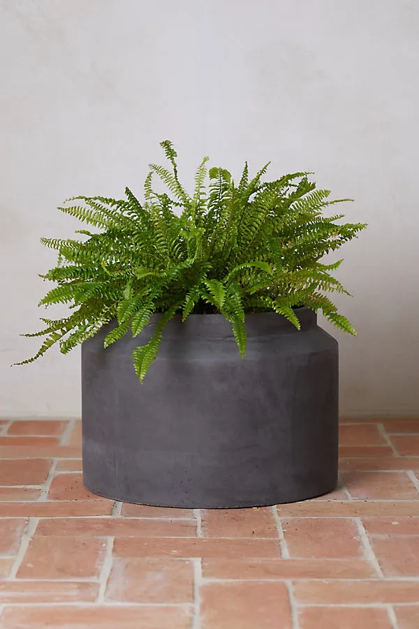 Fiber Jar Planter