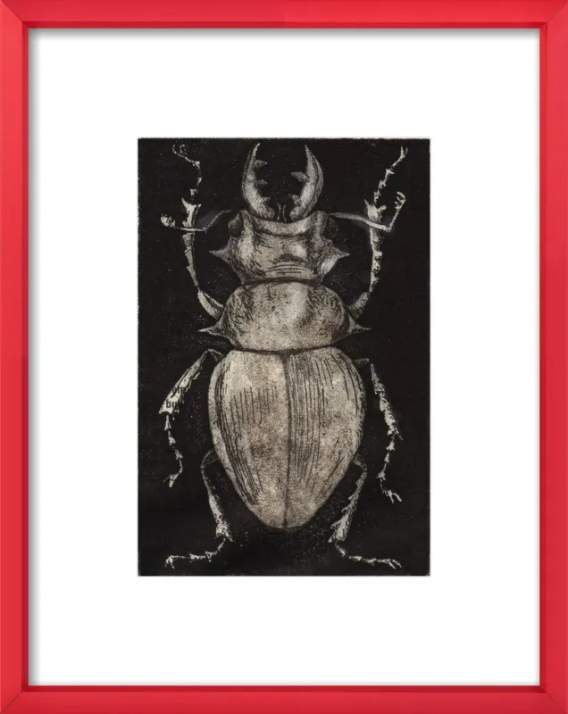 Grey Beetle on Black by Tennopent Sooster for Artfully Walls