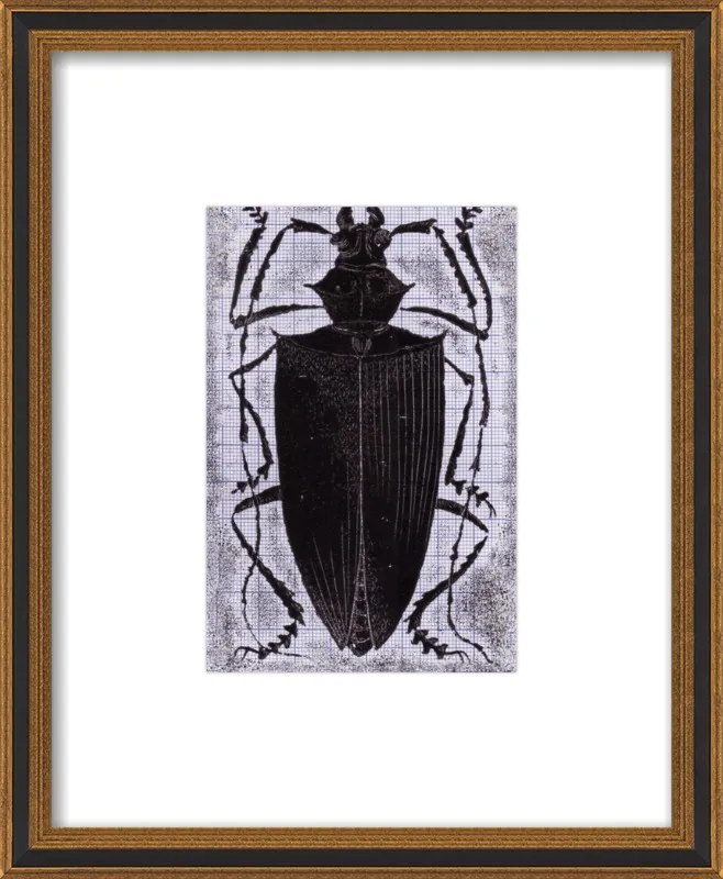 Black Beetle on Grey by Tennopent Sooster for Artfully Walls