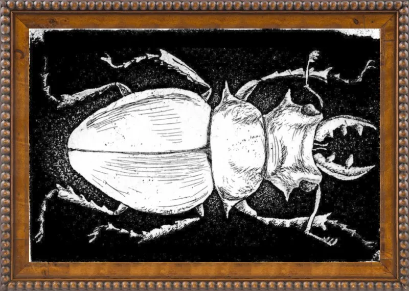 White Beetle on Black by Tennopent Sooster for Artfully Walls