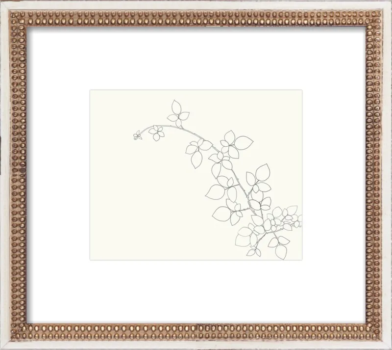 Blackberry  by Jorey Hurley for Artfully Walls