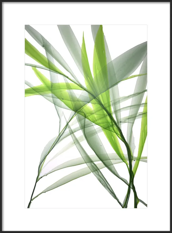 Tropical Study no. 3 by Marina Dunbar  for Artfully Walls