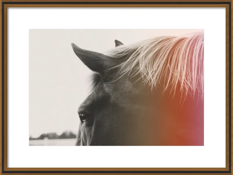 Pink Pony by Alicia Bock for Artfully Walls