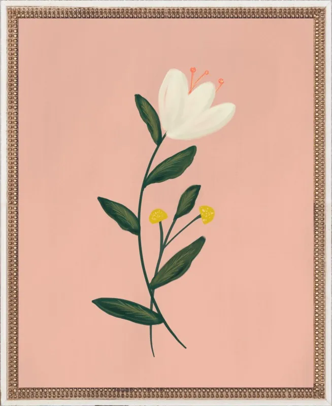 Botanical Illustration No. 3 by Nancy Noreth for Artfully Walls