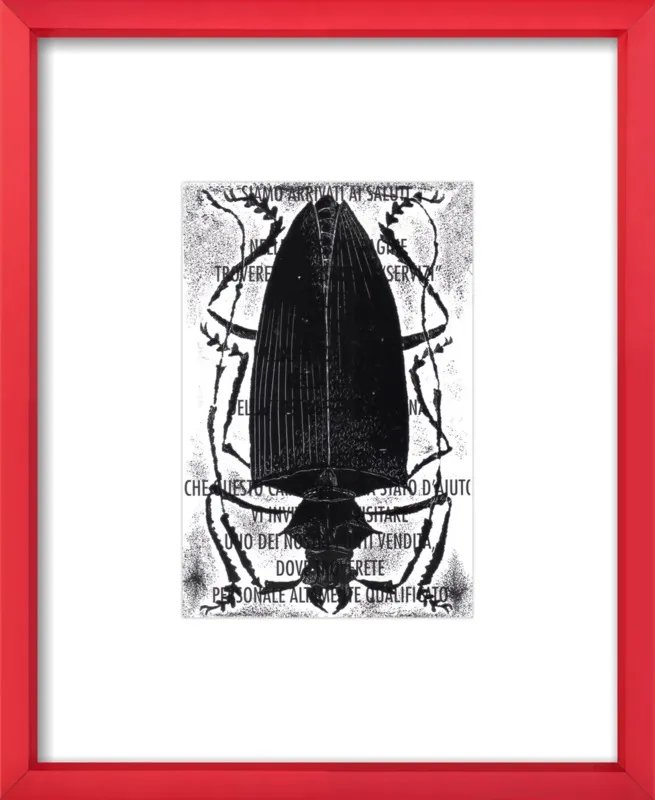 Black Beetle on Words by Tennopent Sooster for Artfully Walls