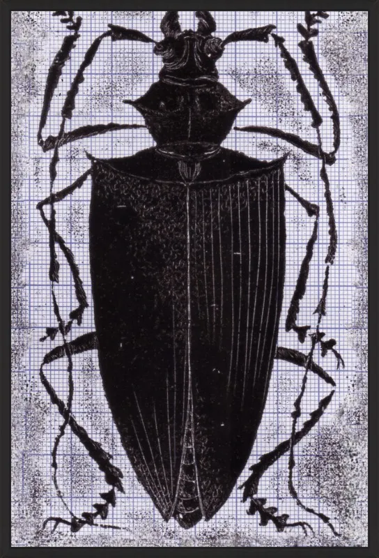 Black Beetle on Grey by Tennopent Sooster for Artfully Walls