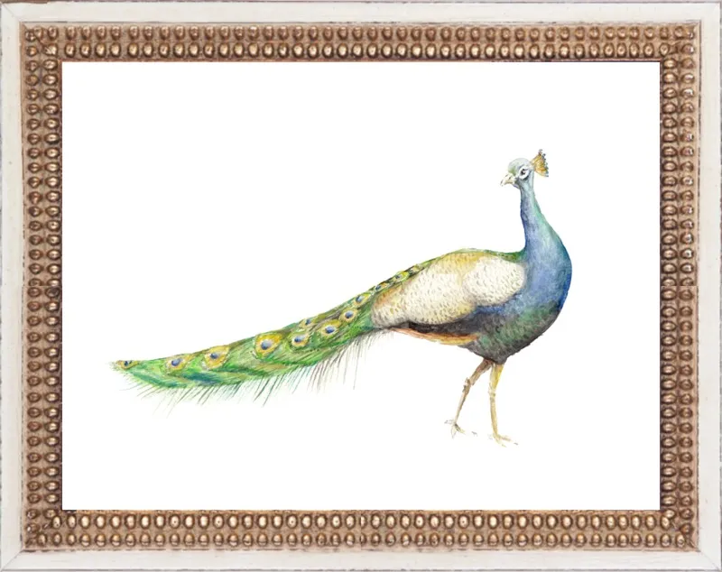 Watercolor Peacock Bird by Lauren Rogoff for Artfully Walls