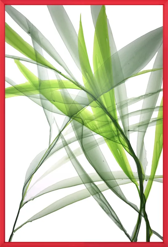 Tropical Study no. 3 by Marina Dunbar  for Artfully Walls