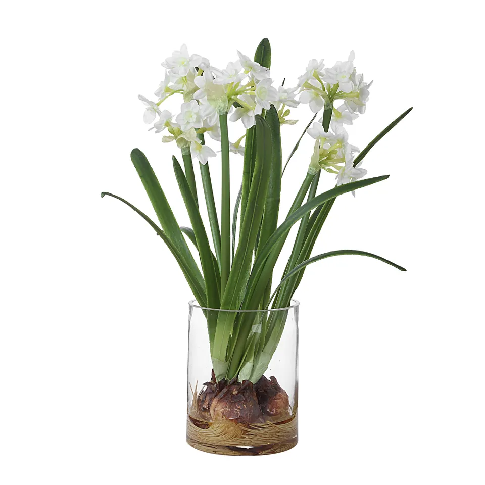 Lacey Daffodil Accent Arrangement