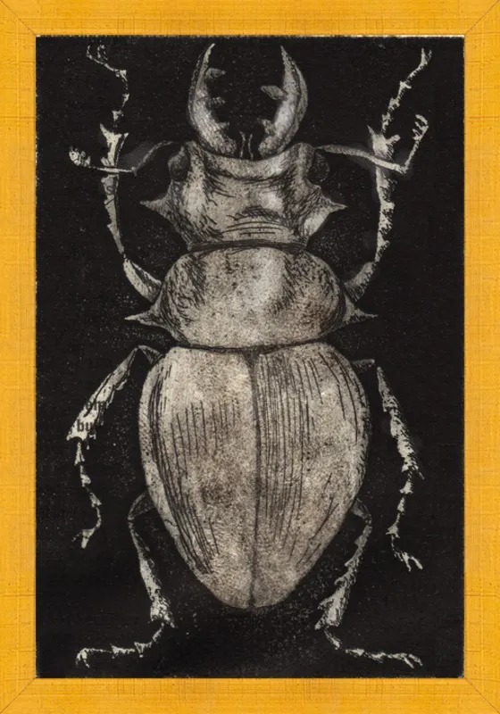 Grey Beetle on Black by Tennopent Sooster for Artfully Walls