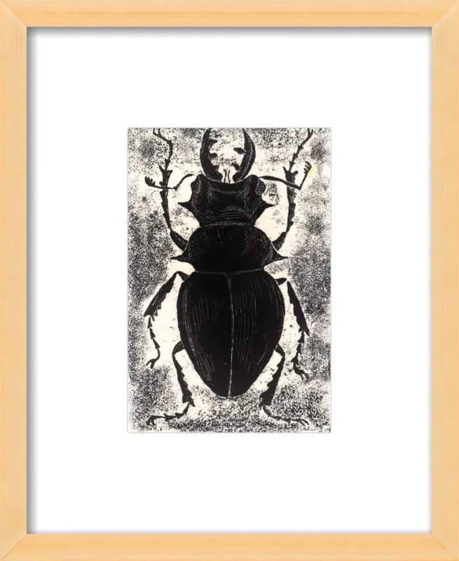 Black Beetle on White by Tennopent Sooster for Artfully Walls