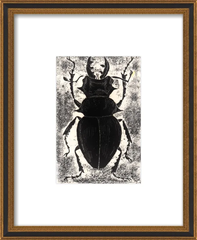 Black Beetle on White by Tennopent Sooster for Artfully Walls